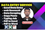 do fastest data entry web research and pdf to excel